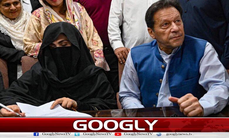 website Pic 1 54