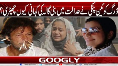 ڈرگ کوئین پنکی نے عدالت میں بنی گالہ کی کہانی کیوں چھیڑی؟ 2 website Pic 1 83