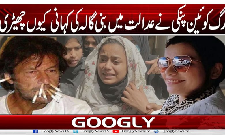 ڈرگ کوئین پنکی نے عدالت میں بنی گالہ کی کہانی کیوں چھیڑی؟ 1 website Pic 1 83