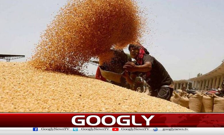 Khyber Pakhtunkhwa writes to PASCO for wheat supply