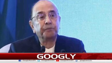 گوادر بندرگاہ کی تعمیر چین کا پاکستان کیلئےعظیم تحفہ ہے،صدرمملکت 5 Construction of Gwadar Port is China's great gift to Pakistan, says President