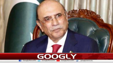 Pakistan has emerged as a symbol of balance and stability in the region, Asif Zardari