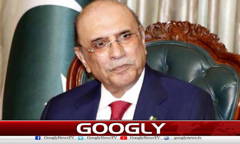 Pakistan has emerged as a symbol of balance and stability in the region, Asif Zardari