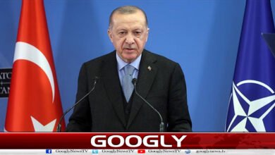The Palestinian issue is the cause of tension in the Middle East: Turkish President