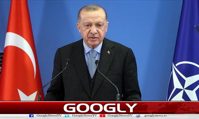 The Palestinian issue is the cause of tension in the Middle East: Turkish President