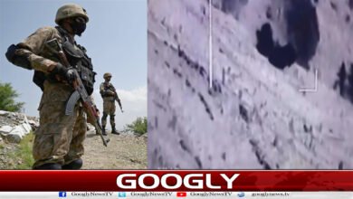 Security forces operation on Pak-Afghan border; 29 terrorists killed.