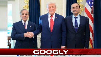 Pakistani Prime Minister and Field Marshal are great people: President Trump