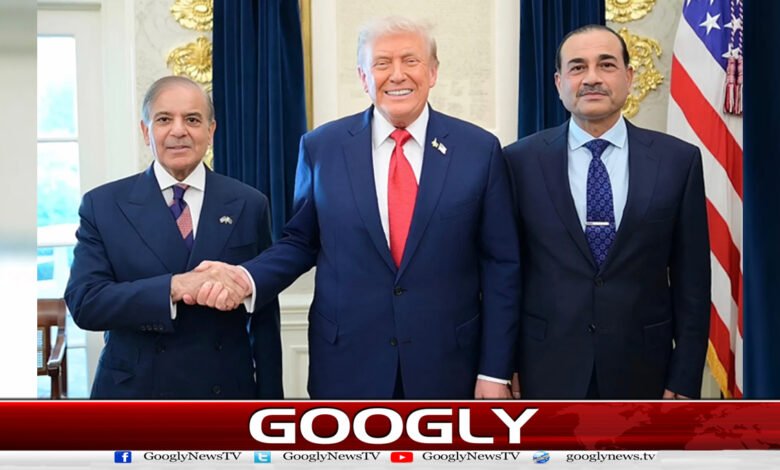پاکستانی وزیراعظم اور فیلڈ مارشل عظیم انسان ہیں: صدر ٹرمپ 1 Pakistani Prime Minister and Field Marshal are great people: President Trump