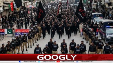 Ashura: Foolproof security arrangements across the country