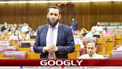 Opposition should praise government for providing relief to salaried class: Information Minister