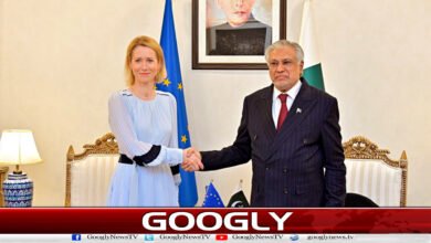 پاکستان خطے کی بڑی طاقت اور یورپی یونین کا شراکت دار ہے : کایا کالاس 5 Pakistan is a major regional power and a partner of the European Union: Kaya Kalas