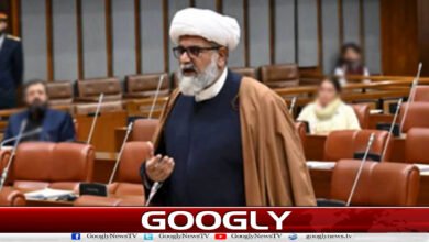 بجٹ میں امیروں کو ریلیف دیا گیا ہے : اپوزیشن لیڈر سینیٹ 5 Relief has been given to the rich in the budget: Opposition Leader in the Senate