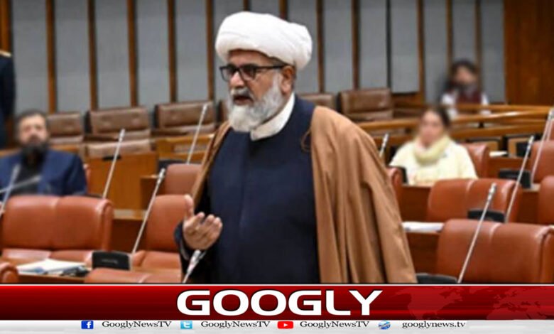 Relief has been given to the rich in the budget: Opposition Leader in the Senate