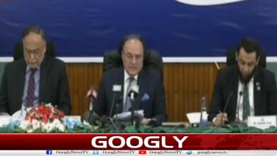 National Economic Survey presented, average inflation rate remained at 6.7 percent