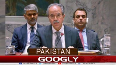 Israel's settlement plans are a major obstacle to an independent Palestinian state: Pakistan