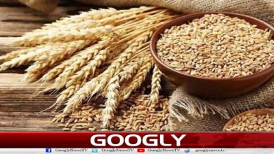 ECC approves provision of 50,000 metric tons of additional wheat to Khyber Pakhtunkhwa