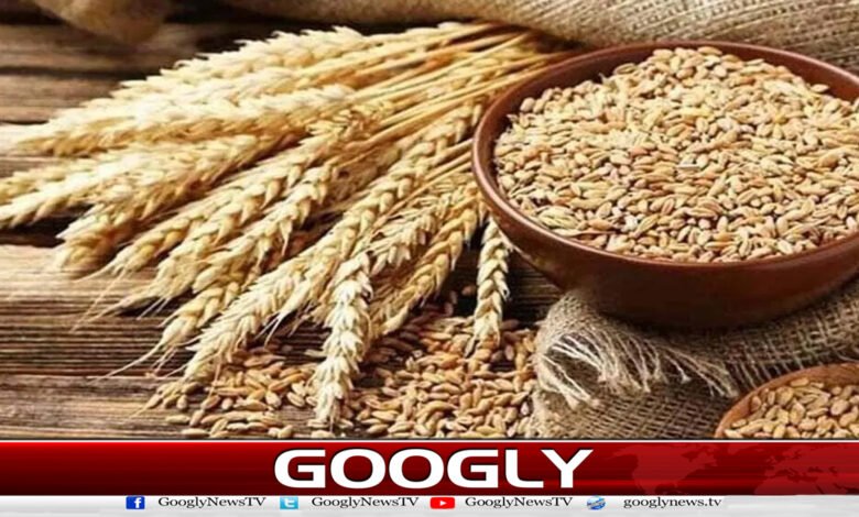 ای سی سی کی خیبرپختونخوا کو 50 ہزار میٹرک ٹن اضافی گندم فراہم کرنے کی منظوری 1 ECC approves provision of 50,000 metric tons of additional wheat to Khyber Pakhtunkhwa