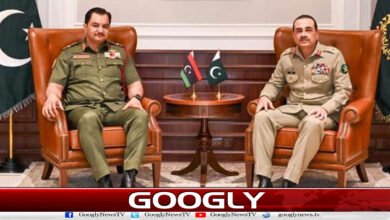 Meeting of the Deputy Commander-in-Chief of Libya with the Field Marshal