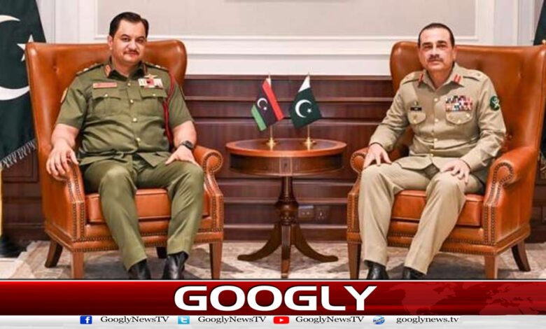 Meeting of the Deputy Commander-in-Chief of Libya with the Field Marshal