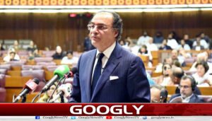قومی اسمبلی ، بجٹ اجلاس: وزیر خزانہ نے 18 ہزار ارب روپے سے زائد کا وفاقی بجٹ پیش کردیا