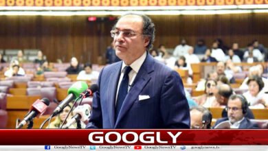 Budget session in the National Assembly: Finance Minister presenting the budget