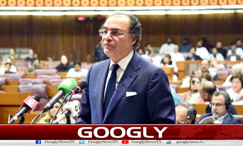 Budget session in the National Assembly: Finance Minister presenting the budget
