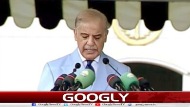 Pakistan adheres to the policy of peace, dialogue and diplomacy: Shahbaz Sharif