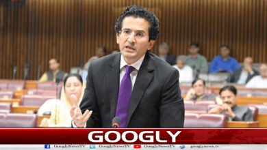 Oil price decisions are being made under public relief and national interest: Federal Petroleum Minister
