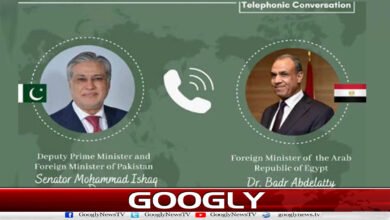 Ishaq Dar and Egyptian Foreign Minister hold telephone conversation, discuss regional situation
