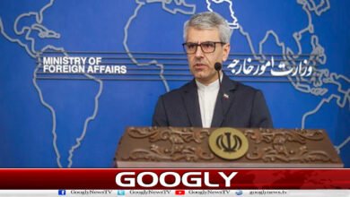 Lebanese president should protect people from real enemy instead of selling out his colleagues: Iran