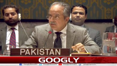 Pakistan calls for immediate ceasefire in Lebanon