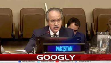 Afghanistan is a safe haven for terrorist organizations: Pakistan