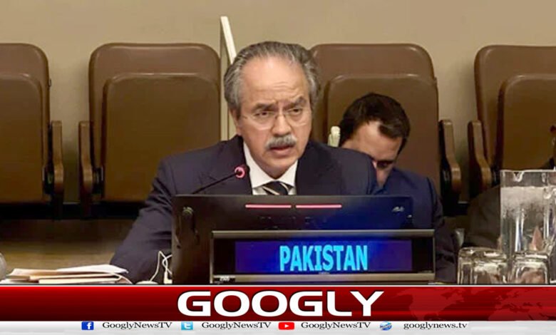 Afghanistan is a safe haven for terrorist organizations: Pakistan