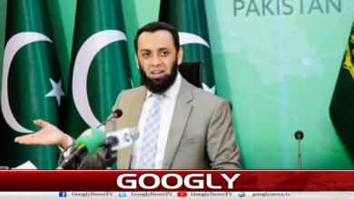 Operation of security forces on Pak-Afghan border, 29 terrorists killed: Minister of Information