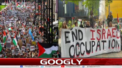 Pro-Palestinian protests in Britain
