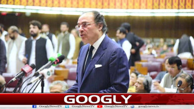 بجٹ میں سمت واضح کردی، معاشی شرح نمو بڑھے گی : وزیر خزانہ 5 The direction has been clarified in the budget, the economic growth rate will increase: Finance Minister