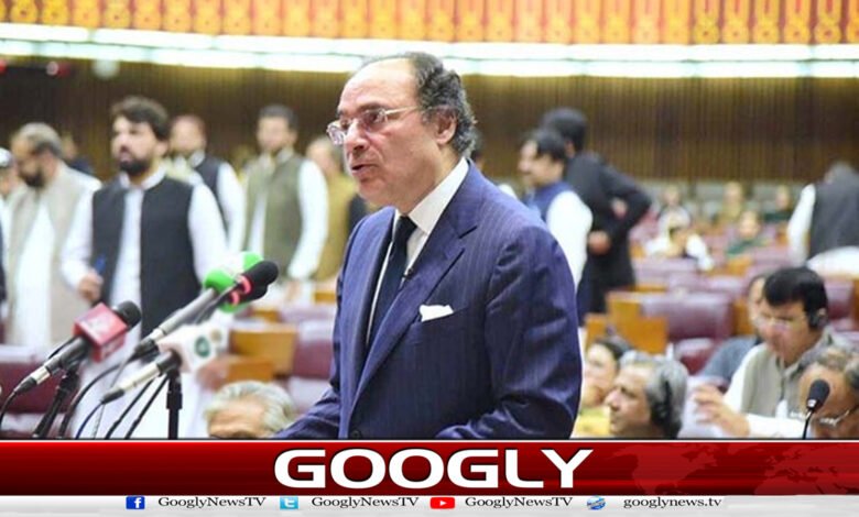 بجٹ میں سمت واضح کردی، معاشی شرح نمو بڑھے گی : وزیر خزانہ 1 The direction has been clarified in the budget, the economic growth rate will increase: Finance Minister