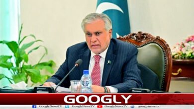Pakistan has become a 'pacemaker' in the world: Ishaq Dar