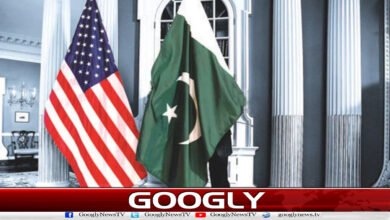Pakistan's role for peace and stability in the Middle East is commendable: American Ambassador