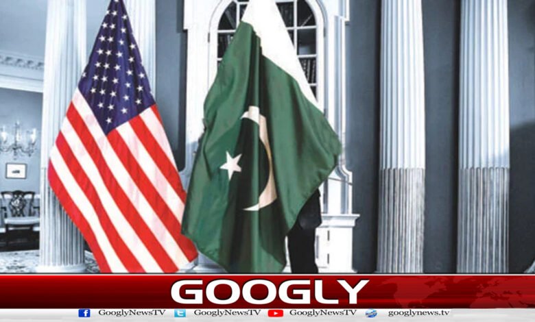 Pakistan's role for peace and stability in the Middle East is commendable: American Ambassador