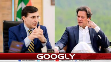Confirmation of Barrister Gohar to present full budget of Khyber Pakhtunkhwa without consulting Imran Khan