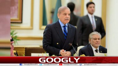 Privatization of PIA is a historic milestone in Pakistan's economic reforms: PM