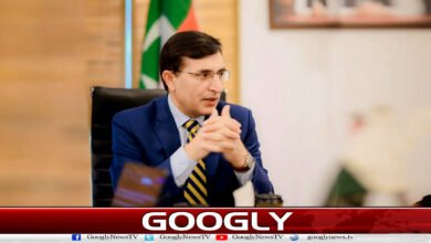 Sohail Afridi has Imran Khan's full support: Barrister Gohar