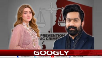 Momina Iqbal harassment case: Case registered against Saqib Chadhar under PECA Act