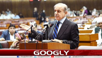 جنیوا میں امریکا-ایران معاہدے کی تقریب کی میزبانی پاکستان کرے گا : شہباز شریف 2 Pakistan to host US-Iran deal ceremony in Geneva: Shehbaz Sharif