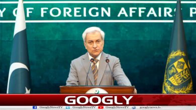Efforts underway to release Pakistani hostages in Somalia: Foreign Office spokesperson