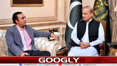 گلگت بلتستان: وزیراعظم کی پیپلز پارٹی کو حکومت بنانے کی دعوت، ن لیگ اپوزیشن میں بیٹھے گی 2 Gilgit-Baltistan: Prime Minister invites PPP to form government, PML-N will sit in opposition