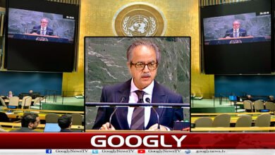 Just solution to Kashmir issue is essential for peace in South Asia: Pakistan