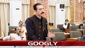 ایکشن کمیٹی مطالبات کے نام پر اپنی مرضی مسلط نہیں کرسکتی : آزاد کشمیر حکومت