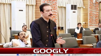 Action Committee cannot impose its will in the name of demands: Azad Kashmir government